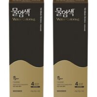 씨드비 물염색 비건 새치커버 염색약 40g 4회분, 미디엄브라운, 2개