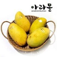 아라몰 필리핀 카라바오 망고 (Philippines Carabao Mango), 6개입, 1.2kg(200g)