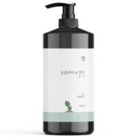 살림백서 오푼티아 앤 밤부 퍼퓸 샴푸 유칼립투스, 1000ml, 1개