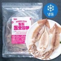 프리미어 손질되어 간편한 통통 통오징어 (냉동), 700g, 1개