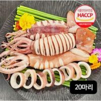 손질통오징어 인기 상품 자연산 손질 통오징어 20마리/260g(2마리)X10팩, 260g(2마리), 10개 외 BEST8