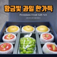 [메리네마켓] 메론 샤인머스켓 사과 배 망고 애플망고 혼합 과일 고급 선물세트 회사 부모님 지인 명절선물 백화점 납품용, 단품 사과 A [보자기포함]