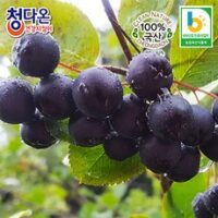 햇 아로니아생과(냉동) 5kg / 꼭지제거 / 최상급, 1개